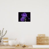 Poster Velvety Violet Porté Iris Flower Art (Cuisine)