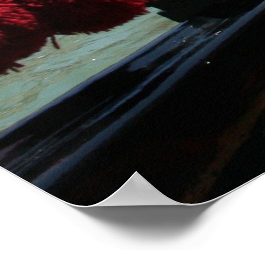 Poster Vénétie (Coin)