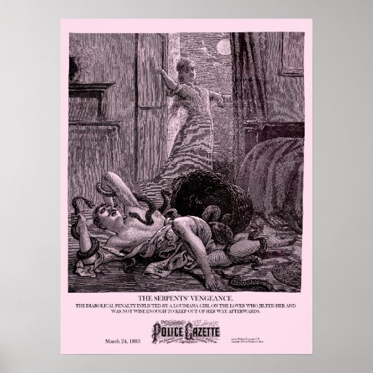 Poster Vengeance dans la Gazette de la police (Devant)