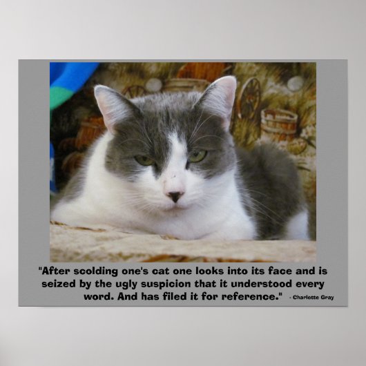 Poster vengeful Grumpy kitty with - Charlotte Grey Citati (Devant)
