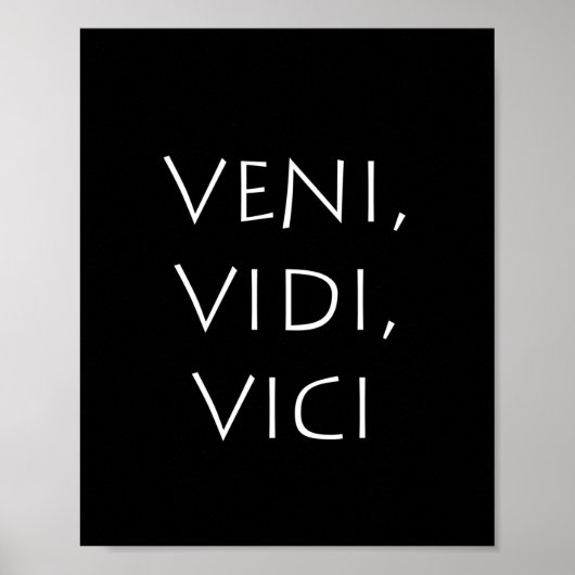 Poster Veni vidi vici (Devant)