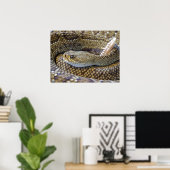Poster Venomous Rattle Snake Close Up (Bureau à domicile)