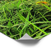 Poster Vent balayé, tournesols (IMPRIMER) (Coin)