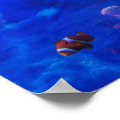 POSTER VENT DE TORTUE DE MER SUR L'EAU (Coin)