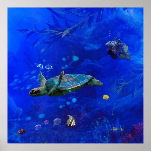 POSTER VENT DE TORTUE DE MER SUR L'EAU (Devant)