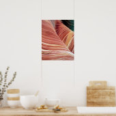 Poster Vent et eau érodent le grès Navajo dans (Cuisine)