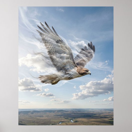 Poster Vent Faucon Horizon Ouvert (Devant)
