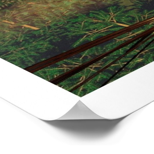 Poster Vent Rider (Coin)