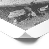 Poster Vente de baies en Alaska 1905 (Coin)