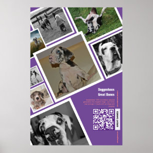 Poster Vente énorme de chien