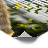 Poster vente envoi référencement immobilier vente vente (Coin)