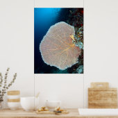 Poster Ventilateur marin à Siquijor (Cuisine)