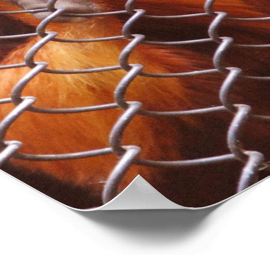 Poster Ventilation (Coin)