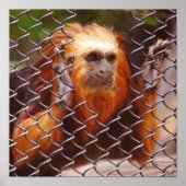 Poster Ventilation (Devant)