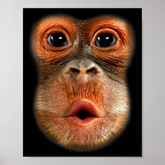 Poster Ventre de singe Mème drôle Vidéo virale cool (Devant)