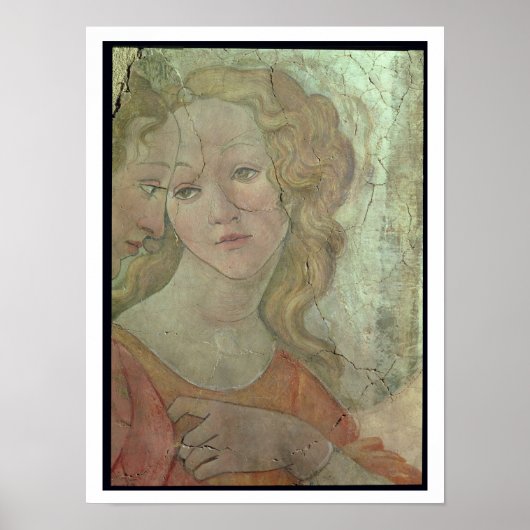 Poster Vénus and the Three Graces Offering Toxits to a yo (Devant)