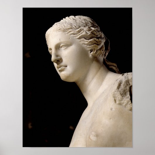 Poster Venus de Milo (Devant)