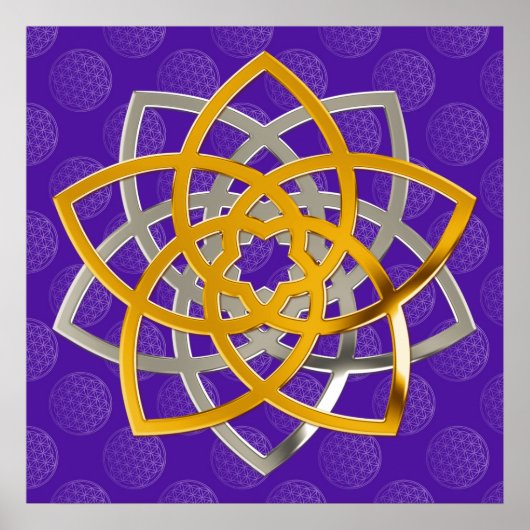 Poster Venus Duo GoldSilverLa Cour des comptes (Devant)