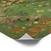 Poster Vénus et Anchises (1890) par William Richmond (Coin)