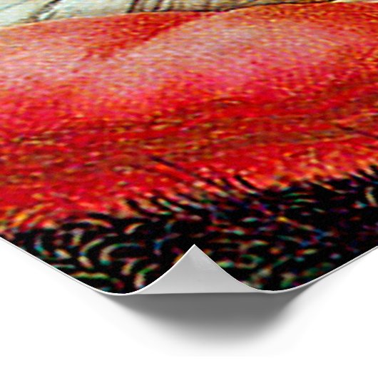 Poster Vénus et Mars de Bottichelli (Coin)