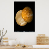 Poster Venus with Visible and Radar Illumination (Cuisine)