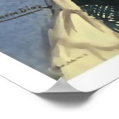 Poster Veracruz (Coin)