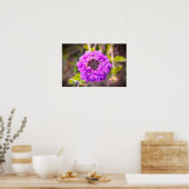 Poster Verbena, (Cuisine)