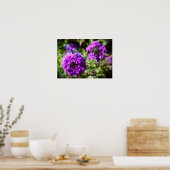 Poster Verbena, (Cuisine)