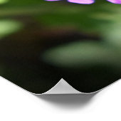 Poster Verbena, (Coin)