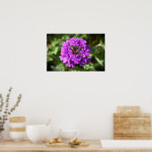 Poster Verbena, (Cuisine)