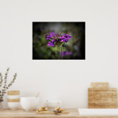 Poster Verbena, (Cuisine)