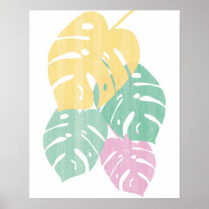 Poster Verdure tropicale - Monstera Feuilles