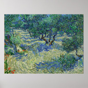 Poster Verger d'oliviers, Vincent van Gogh  