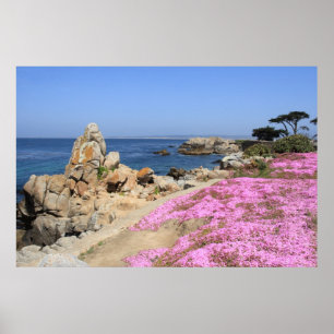 Poster Verger Pacifique