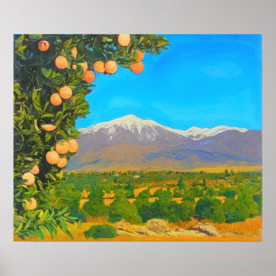Poster Vergers d'orangers Mont Baldy enneigé Début des an