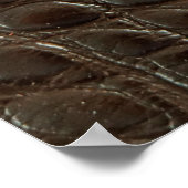 Poster Véritable alligator marron, gros plan pour montrer (Coin)