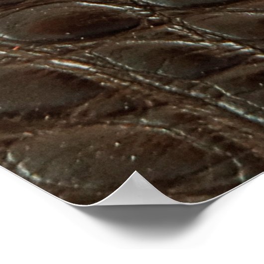 Poster Véritable alligator marron, gros plan pour montrer (Coin)