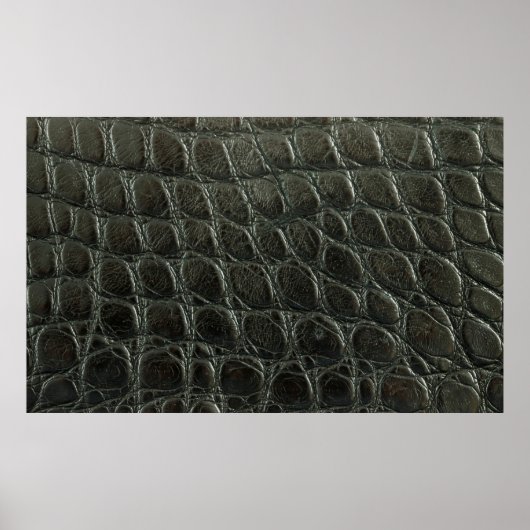 Poster Véritable alligator noir texture cuir, gros plan (Devant)