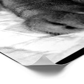 Poster Véritable Amour (Coin)