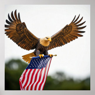 POSTER VÉRITABLE BALD EAGLE VOL AVEC DRAPEAU AMÉRICAIN