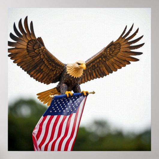 POSTER VÉRITABLE BALD EAGLE VOL AVEC DRAPEAU AMÉRICAIN (Devant)