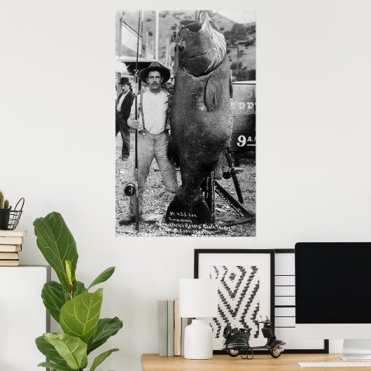 Poster Véritable Big Fish, début des années 1900 (Bureau à domicile)