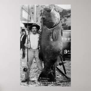 Poster Véritable Big Fish, début des années 1900