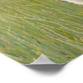 Poster Véritable Cheval Miniature en montagne souhait (Coin)