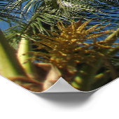 Poster Véritable détente (Coin)