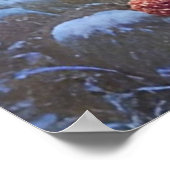 Poster Véritable merveille d'hiver Art du paysage (Coin)