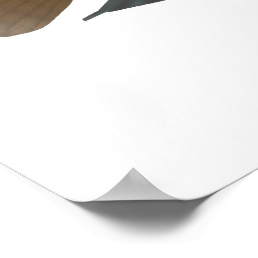 Poster Véritable Parrot Cichlid (Coin)