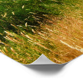 Poster Véritable Portugal-Madère (Coin)