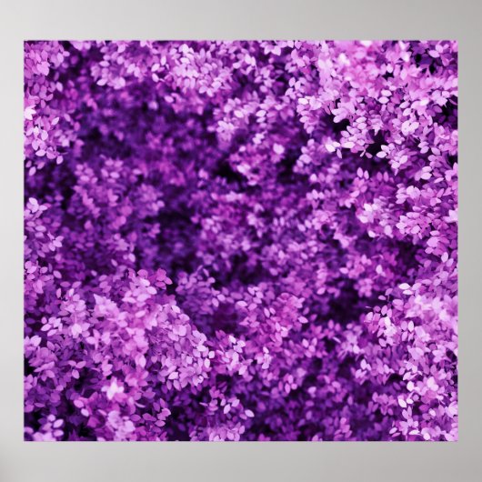 Poster Véritable tricot, arrière - plan texturé. (Devant)