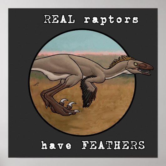 Poster Véritables Rapaces (Devant)